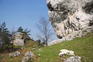 jura1