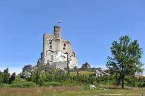 jura3